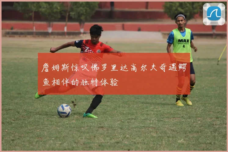 詹姆斯惊叹佛罗里达高尔夫奇遇鳄鱼相伴的独特体验