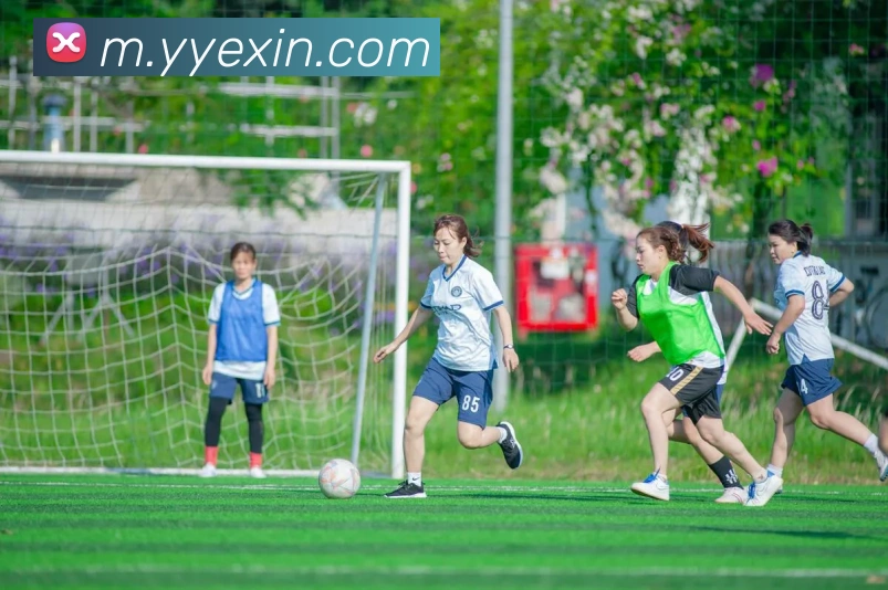 星空体育，星空体育在线官网平台生态图